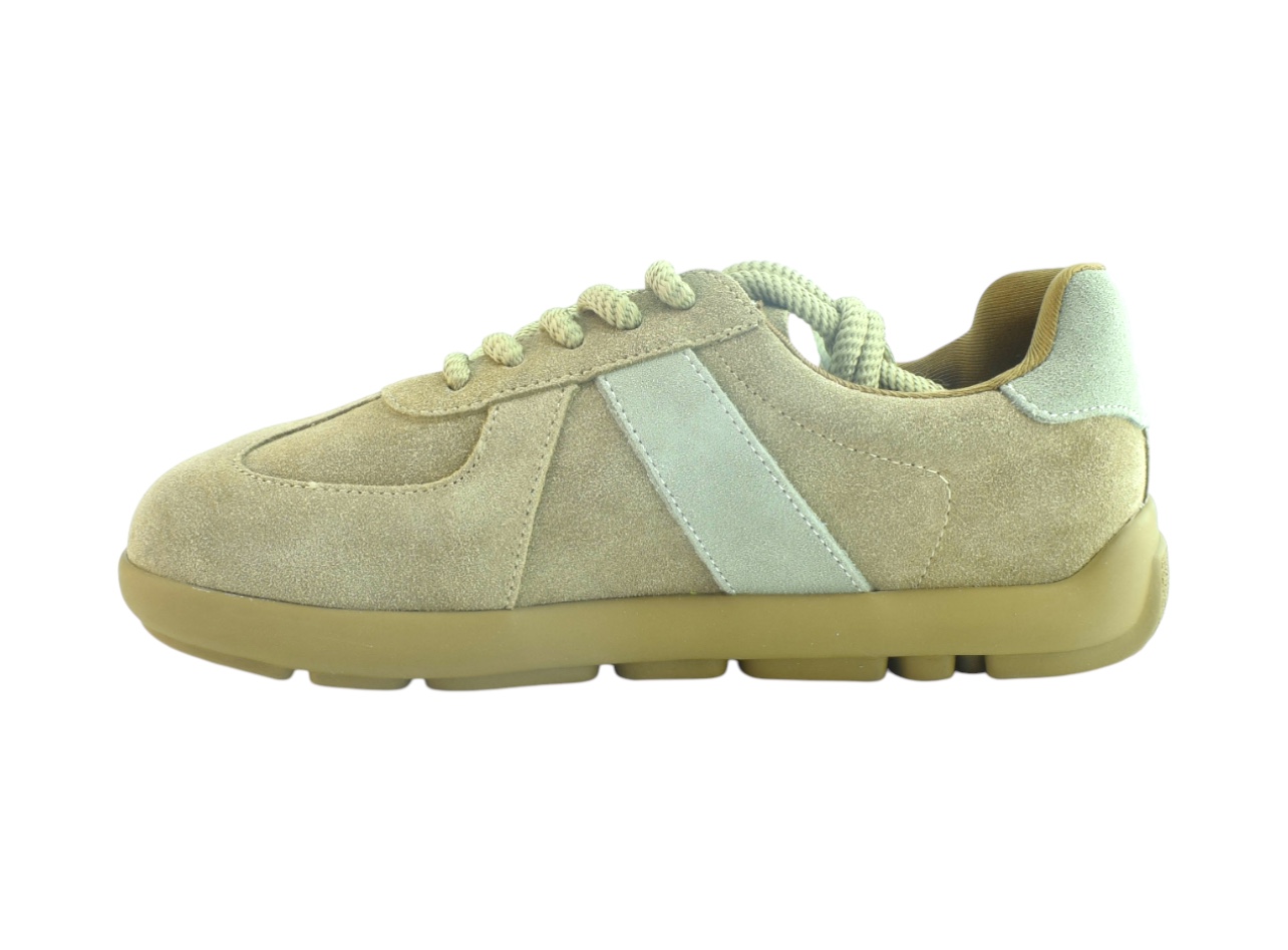 PDRX06-1(абрик)