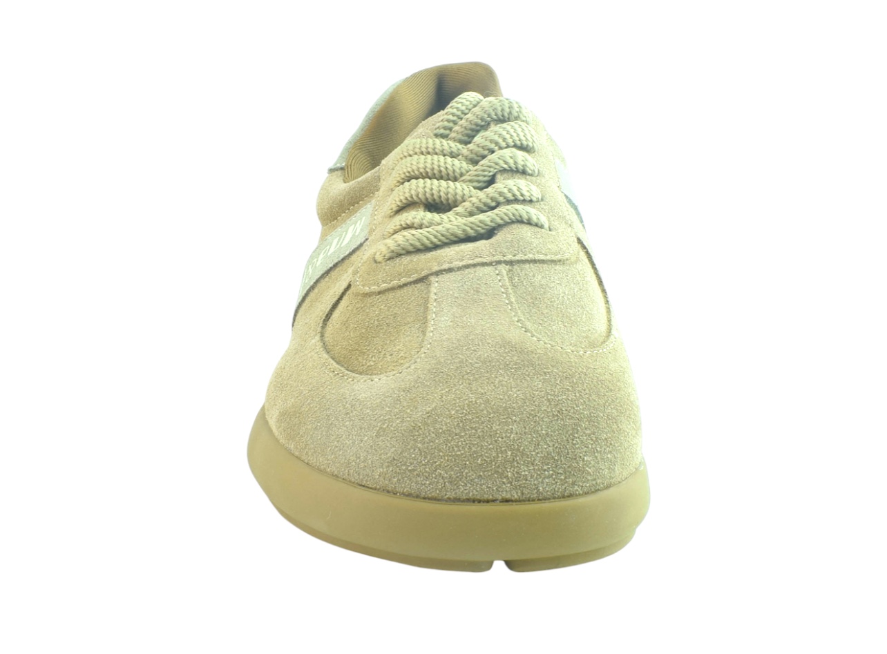 PDRX06-1(абрик)